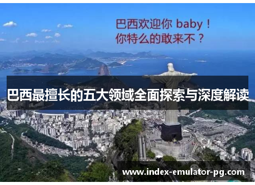 巴西最擅长的五大领域全面探索与深度解读