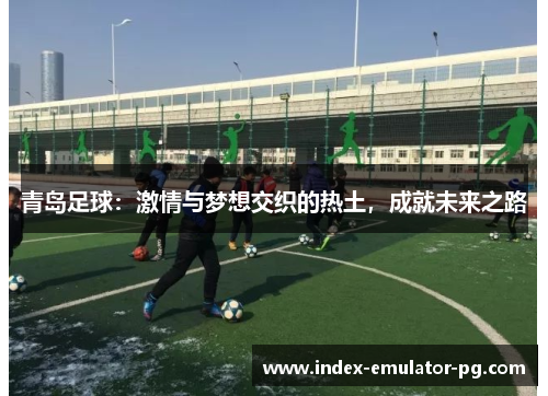 青岛足球：激情与梦想交织的热土，成就未来之路