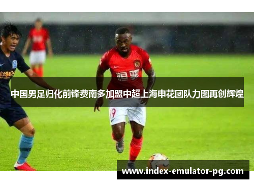 中国男足归化前锋费南多加盟中超上海申花团队力图再创辉煌