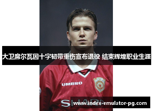 大卫席尔瓦因十字韧带重伤宣布退役 结束辉煌职业生涯 大卫席尔瓦因十字韧带重伤宣布退役 结束辉煌职业生涯