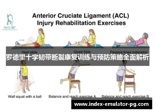 罗德里十字韧带断裂康复训练与预防策略全面解析