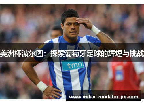 美洲杯波尔图：探索葡萄牙足球的辉煌与挑战